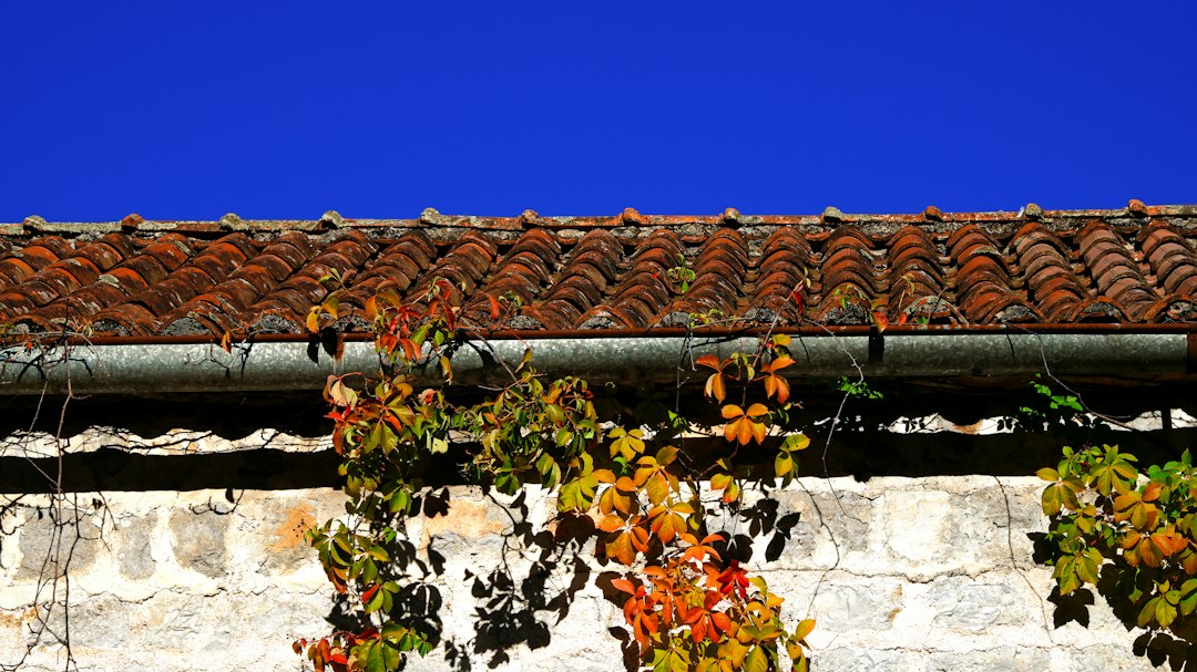 Casa ventilada después de la lluvia