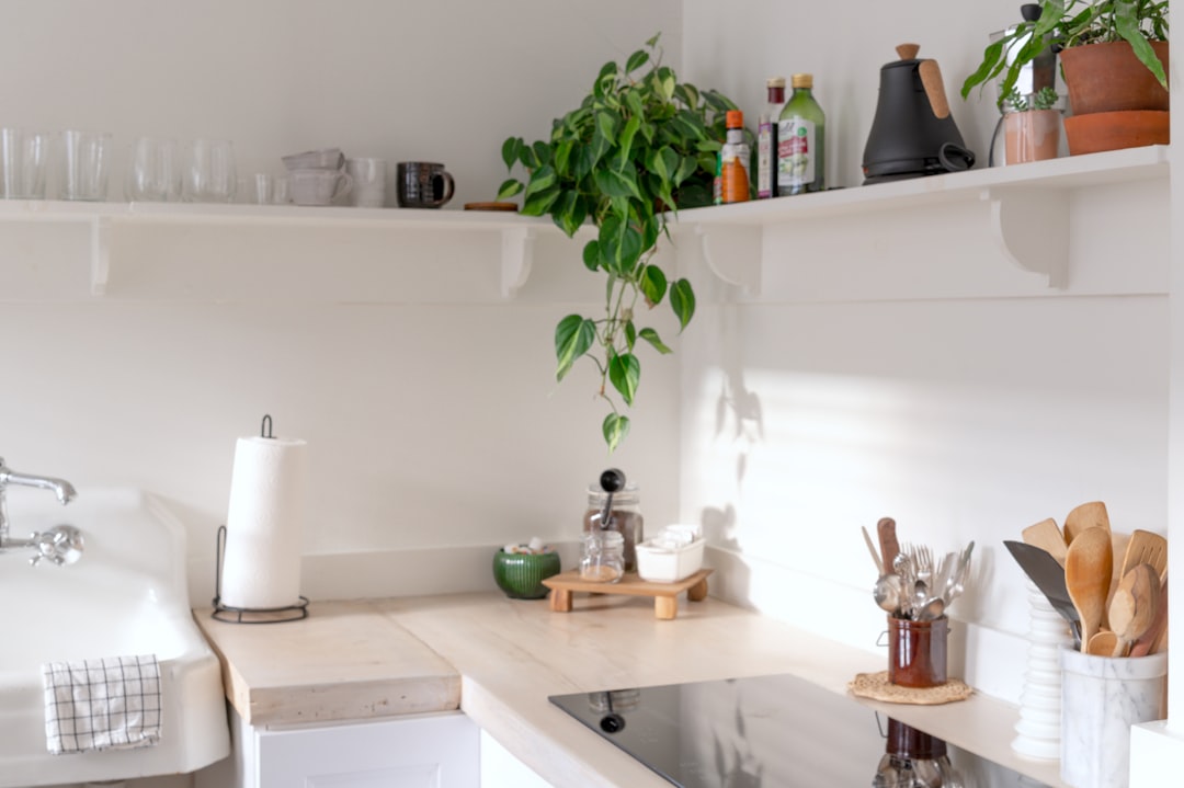 Cocina organizada para aplicar hábitos de limpieza eficientes y económicos