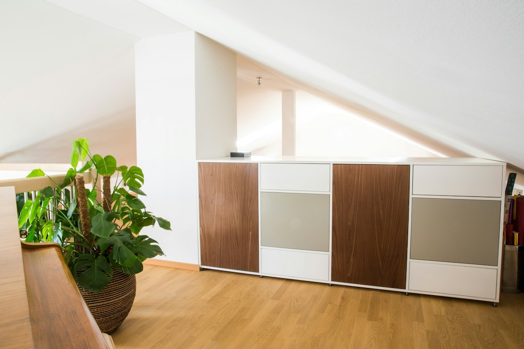 Inspiración de almacenamiento y distribución para espacio bajo escalera, imagen 3