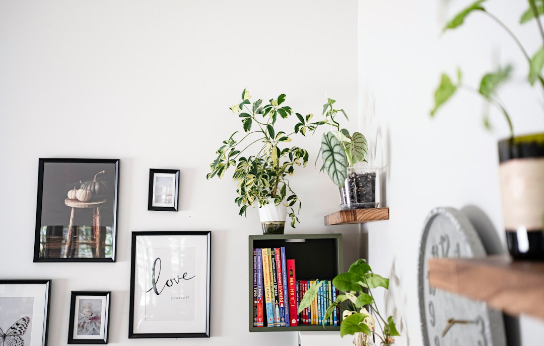 Estantes verticales con arte y plantas en una sala pequeña