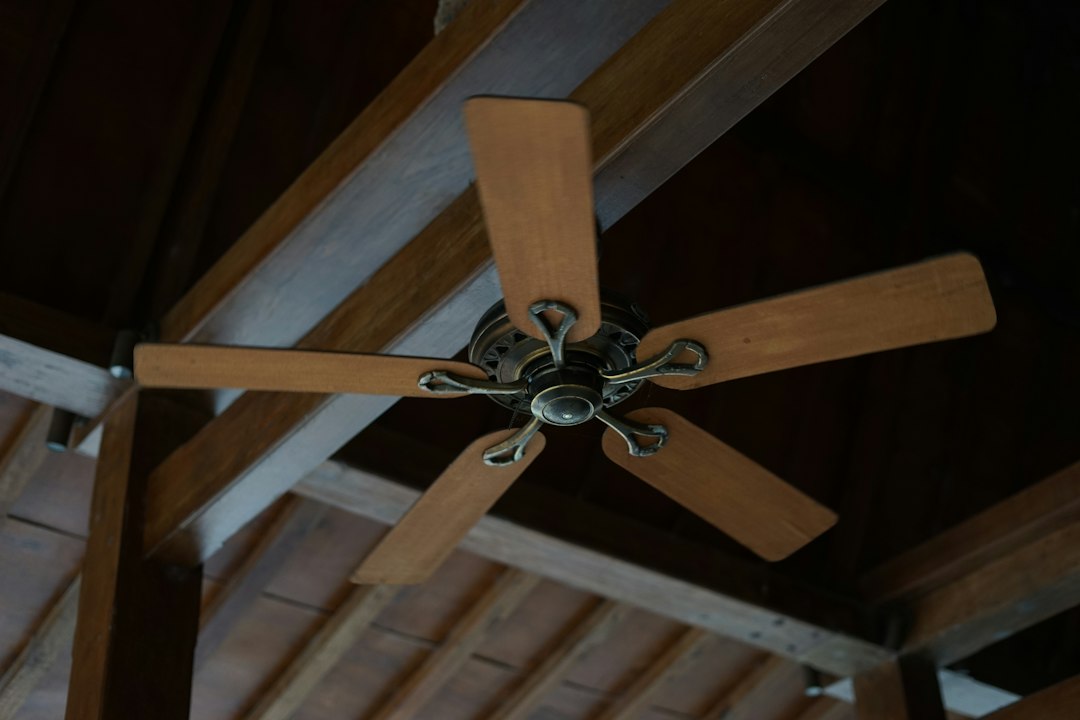 Ventilador de techo apagado antes de la limpieza