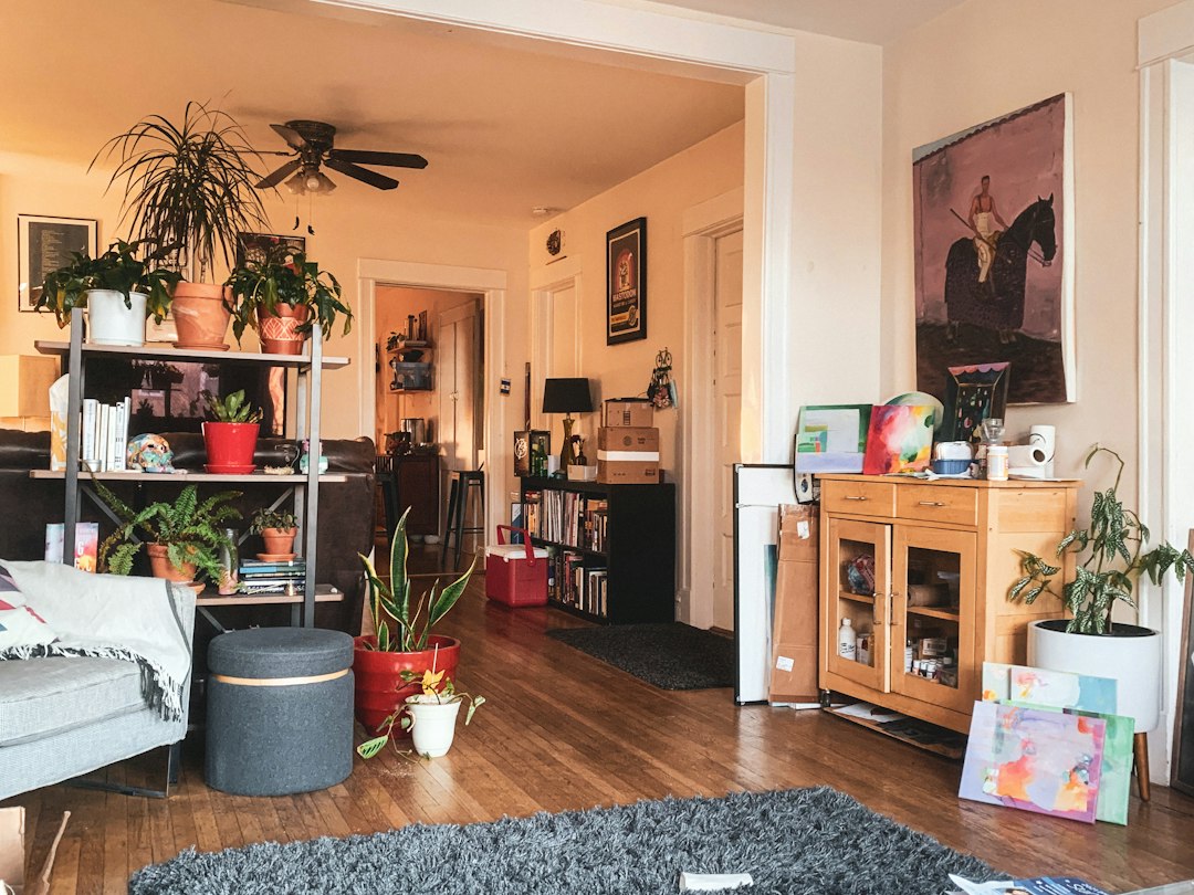 Sala pequeña con textura y vegetación bien distribuida