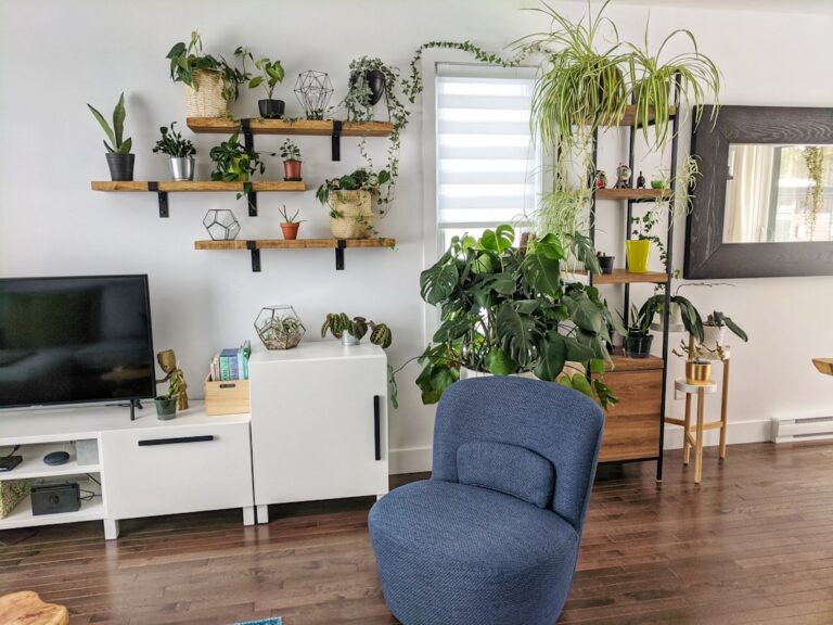 Sala decorada con plantas y elementos naturales para un ambiente acogedor