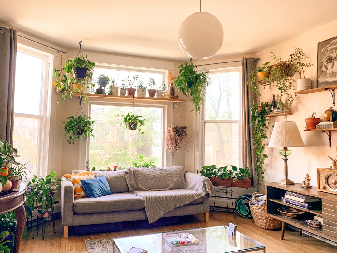 Sala pequeña con sofá proporcionado y decoración sencilla