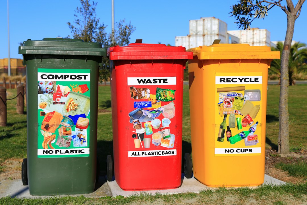 Materiales reciclables separados por tipo